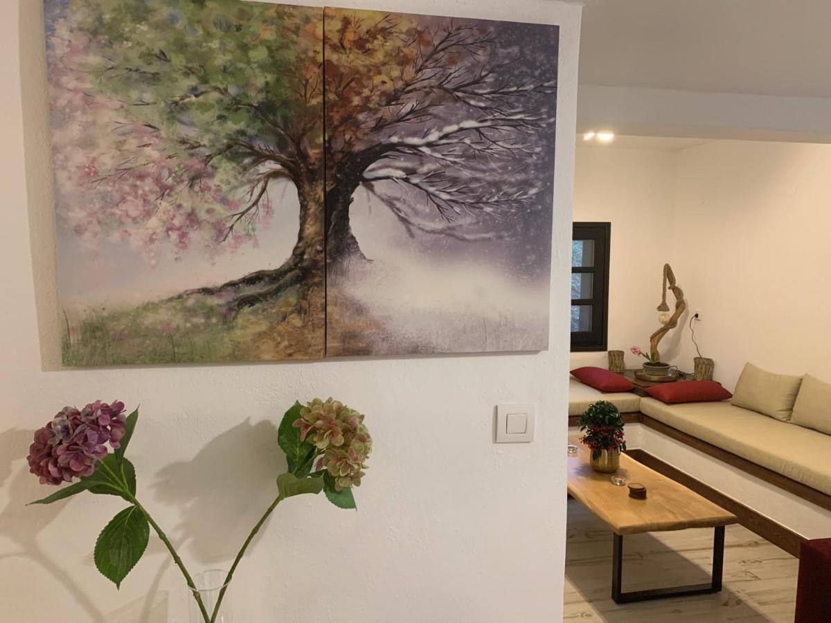 ツァガラダ Pelion 7 Livesヴィラ エクステリア 写真