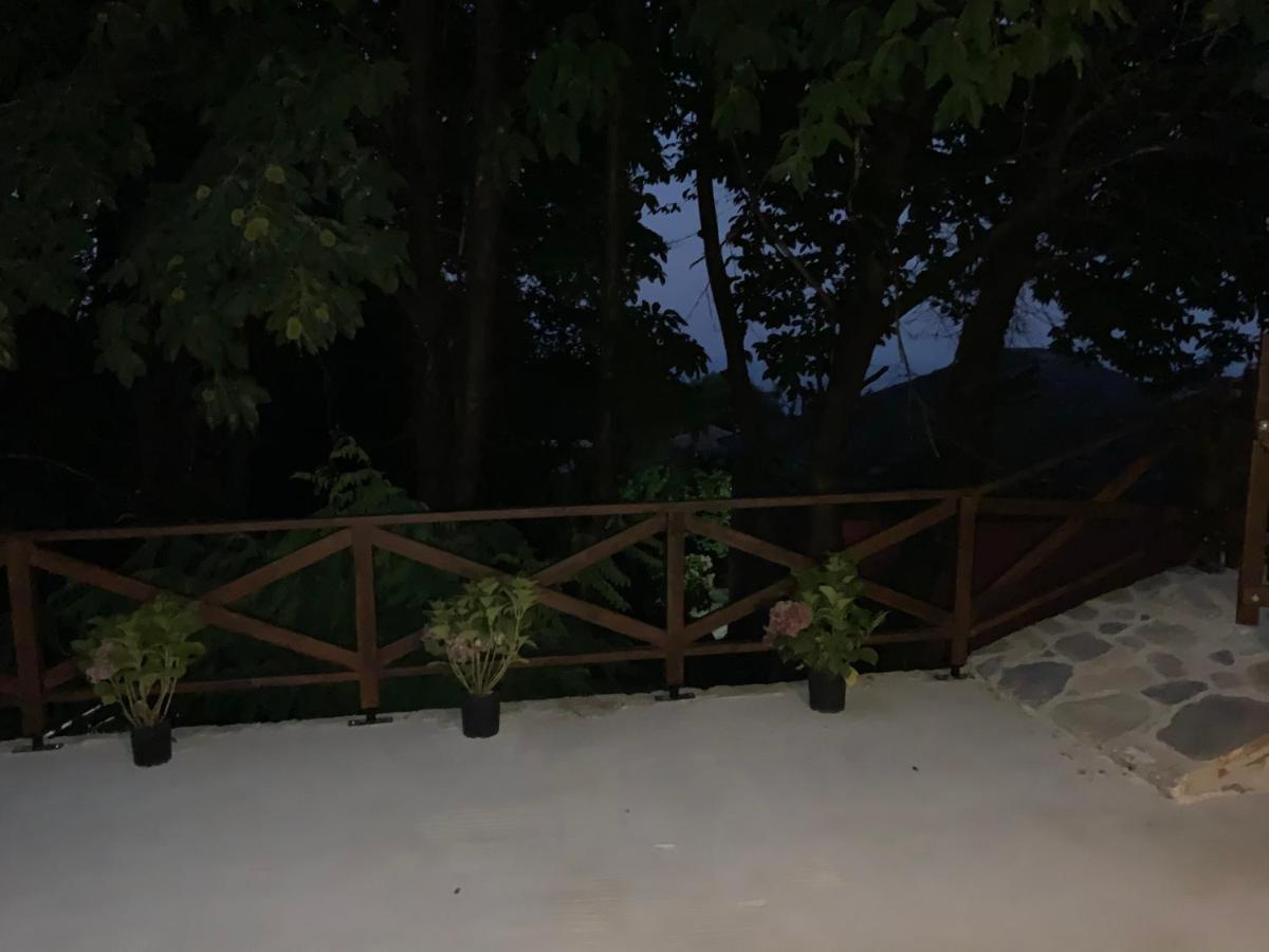 ツァガラダ Pelion 7 Livesヴィラ エクステリア 写真